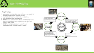 Oyster shells
Oyster mats
are created
Oyster bar
Reef growth
Sucked oyster shells
reclaimed for use in oyster
reef restoration project
Recycled oysters are
placed back into bay
waters to replenish and
restore reefs
Harvested oysters sold to
restaurants
After the oysters are eaten
the shells are discarded
• Separate shell from trash. Shell mixed with trash is not suitable for
recycling. Provide separate containers for shell.
• Keep the shells in a porous container to reduce odours.
• Bring the shells to a shell recycling center.
• DO NOT put live oysters in waters. Placing imported oysters in our
waters can create public health problems and may harm local
oysters or other animals.
• DO NOT put freshly shucked shell in waters. To avoid
contamination, shell should be dried for 6 months.
Recycling steps
Oyster Shell Recycling
 