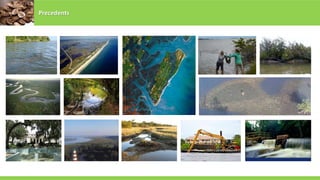 Precedents
 