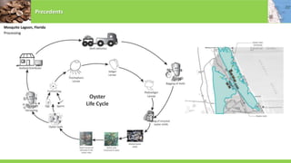 Precedents
Mosquito Lagoon, Florida
Processing
 