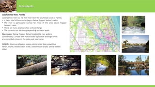 Loxahatchee River, Florida
Precedents
Loxahatchee river is a 7.6 mile river near the southeast coast of Florida.
• It has a tidal influence that begins below Trapper Nelson’s cabin.
• The river is particularly narrow for most of the area above Trapper
Nelson’s cabin
• There are many low branches and overhangs
• The currents can be strong depending on water levels
Open water: Below Trapper Nelson’s cabin the river widens
considerably. Contact with motor boats is possible and high winds
are more likely closer to the state park boat ramp.
Wildlife: American alligator, osprey, white-tailed deer, great blue
heron, mullet, brown water snake, cottonmouth snake, yellow-bellied
slider.
 
