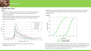 Precedents
Loxahatchee River, Florida
Threats:
• Oyster reefs have been declined due to lack of hard surfaces where larvae
can attach. Long assumed to improve water clarity and benefit other
species of aquatic life.
• Large freshwater releases reduce salinities in the estuary to levels that harm
estuarine and marine flora and fauna with oyster and seagrasses being
among the most notable.
Comparison of storm-related flood control releases from S-46 at
Loxahatchee River, Florida.
Salinity
Subsequent assessment of oyster communities indicated severe impacts to oyster reefs
in the Southwest Fork and moderate impacts to oysters in upstream reaches of the
Northwest Fork.
Typical salinity envelope for the Oyster Reef site at river mile 4.1 in the Northwest Fork of
the Loxahatchee River, Florida. Dashed and solids lines are the lower and upper bounds of
the envelope shown as the cummulative distribution plot of the daily minimum and
maximum salinity recorded by a datasonde at 15 min
 