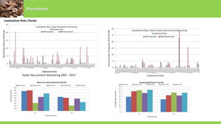 Precedents
Loxahatchee River, Florida
Oyster Recruitment Monitoring 2007 - 2013
 