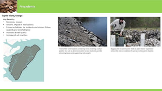 Precedents
Key Benefits:
• Minimizes erosion
• Absorbs impact of boat activity
• Enhances habitats for residents and visitors (fishes,
seabirds and invertebrates)
• Improves water quality
• Increase of salt marshes
Chained-like steel baskets containing rocks are being used at
another test site to determine which is best material used for
attracting larvae and supporting reef growth.
Bagging the recycled oyster shells to plant native vegetation
behind the sites to stabilize the soil and enhance the habitat.
Sapelo Island, Georgia
 