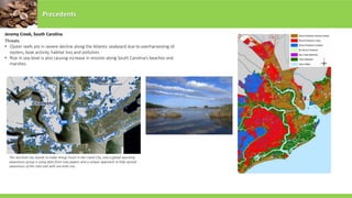 Precedents
Jeremy Creek, South Carolina
Threats
• Oyster reefs are in severe decline along the Atlantic seaboard due to overharvesting of
oysters, boat activity, habitat loss and pollution.
• Rise in sea-level is also causing increase in erosion along South Carolina’s beaches and
marshes.
The sea level rise stands to make things much in the Canal City, and a global warming
awareness group is using data from new papers and a unique approach to help spread
awareness of the risks tied with sea level rise.
 