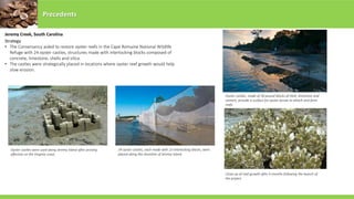 Precedents
Jeremy Creek, South Carolina
Strategy
• The Conservancy aided to restore oyster reefs in the Cape Romaine National Wildlife
Refuge with 24 oyster castles, structures made with interlocking blocks composed of
concrete, limestone, shells and silica.
• The castles were strategically placed in locations where oyster reef growth would help
slow erosion.
Oyster castles were used along Jeremy Island after proving
effective on the Virginia coast.
24 oyster castles, each made with 13 interlocking blocks, were
placed along the shoreline of Jeremy Island
Oyster castles, made of 30-pound blocks of shell, limestone and
cement, provide a surface for oyster larvae to attach and form
reefs
Close-up of reef growth after 6 months following the launch of
the project
 
