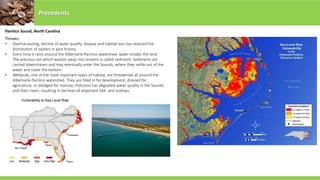 Precedents
Threats:
• Overharvesting, decline of water quality, disease and habitat loss has reduced the
distribution of oysters in past history.
• Every time it rains around the Albemarle-Pamlico watershed, water erodes the land.
The precious soil which washes away into streams is called sediment. Sediments are
carried downstream and may eventually enter the Sounds, where they settle out of the
water and cover the bottom.
• Wetlands, one of the most important types of habitat, are threatened all around the
Albemarle-Pamlico watershed. They are filled in for development, drained for
agriculture, or dredged for marinas. Pollution has degraded water quality in the Sounds
and their rivers, resulting in declines of important SAX and scallops.
Pamlico Sound, North Carolina
 