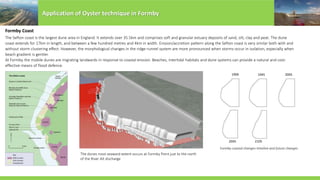 Application of Oyster technique in Formby
Formby Coast
The Sefton coast is the largest dune area in England. It extends over 35.5km and comprises soft and granular estuary deposits of sand, silt, clay and peat. The dune
coast extends for 17km in length, and between a few hundred metres and 4km in width. Erosion/accretion pattern along the Sefton coast is very similar both with and
without storm clustering effect. However, the morphological changes in the ridge-runnel system are more pronounced when storms occur in isolation, especially when
beach gradient is gentler.
At Formby the mobile dunes are migrating landwards in response to coastal erosion. Beaches, intertidal habitats and dune systems can provide a natural and cost-
effective means of flood defence.
Formby coastal changes-timeline and future changes
1906 1945 2005
2045 2105
The dunes most seaward extent occurs at Formby Point just to the north
of the River Alt discharge
 