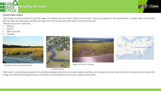 Coastal water bodies
Tidal creeks are very essential for early life stages of residents and also visitors (fishes and sea birds). They acts as guards to the coastal health. As water level rises and falls
with the tides, the tidal creek combines salt water from the estuary with storm water runoff from the land.
Habitats around the creeks like:
• Marshes
• Oysters
• Open sand flats
• Channels
Huntington beach state park salt marsh
Tidal creek is a productive ecosystem at the interface between terrestrial and marine habitats and they also intertwine with salt marshes which are important for conduits for
energy and material exchange and acts as a necessity for providing vital resources for coastal communities.
Sapelo sand marsh in Georgia
Recycling the Coast
 