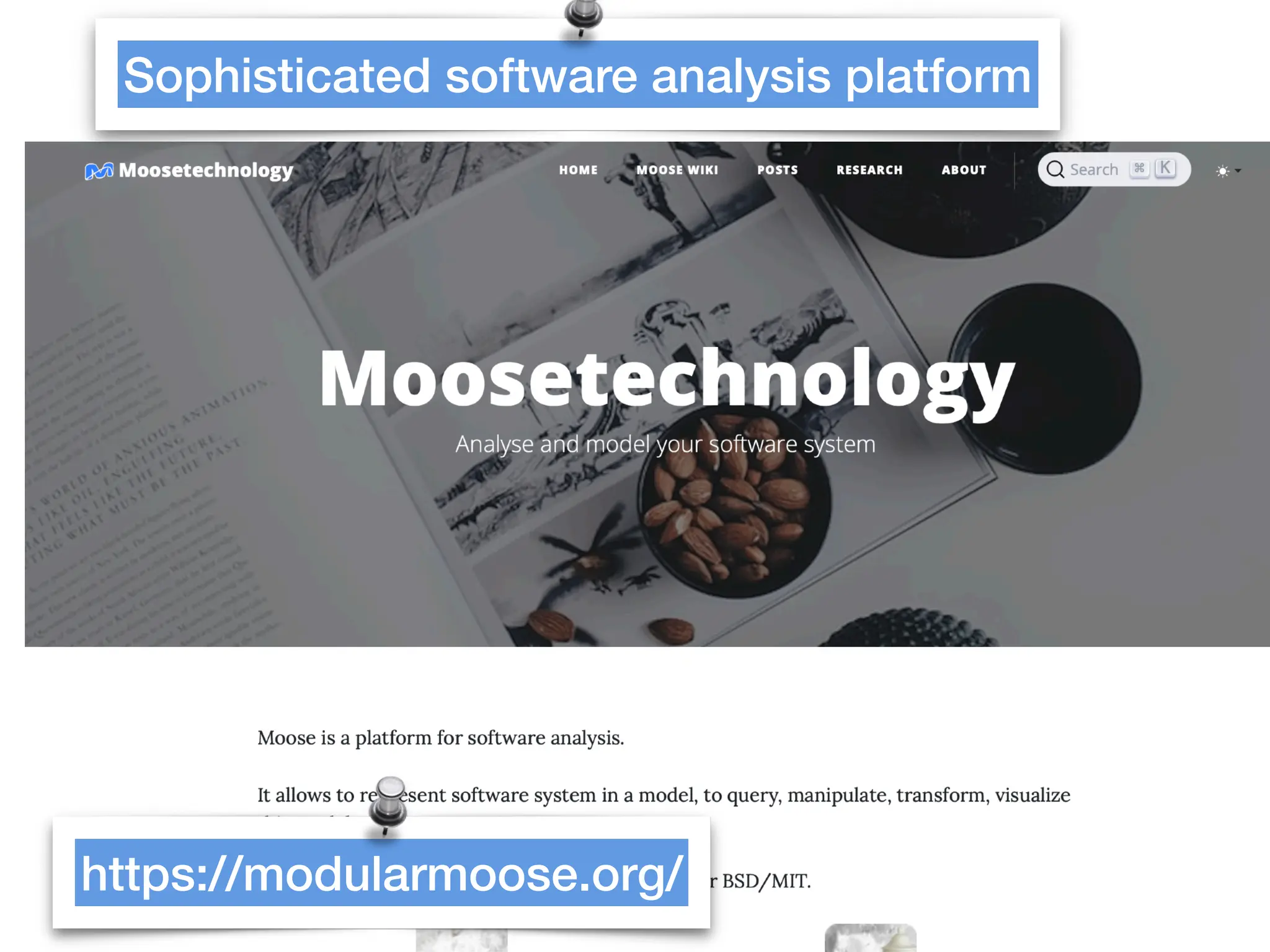 Modular Moose: Software analysis
Sophisticated software analysis platform
https://modularmoose.org/
 