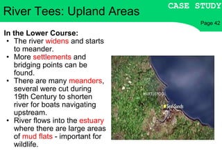 In the Lower Course: The river  widens  and starts to meander. More  settlements  and bridging points can be found. There are many  meanders , several were cut during 19th Century to shorten river for boats navigating upstream. River flows into the  estuary  where there are large areas of  mud flats  - important for wildlife. River Tees: Upland Areas CASE STUDY Page 42 