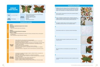 24 25
Guia de Atividades de Expressão e Educação Plástica © Santillana-Constância
Enquadramento curricular
Bloco 1
Descoberta e organização progressiva dos volumes
Construções
•	
Ligar/colar elementos para uma construção.
Bloco 3
Exploração de técnicas diversas de expressão.
Recorte e colagem
•	
Explorar as diferentes possibilidades dos elementos naturais, procurando formas, cores texturas
ou espessuras.
•	
Fazer composições colando diferentes materiais.
Programa
Materiais
necessários
•	
Quadro interativo/computador para apresentação/
/explicação da atividade
•	
Folhagem variada bem seca
•	
Folhas de papel de desenho
•	
Lápis HB
•	
Tesoura
•	
Cola cristal/cola branca
Anos 1.º, 2.º, 3.º e 4.º
Tempo
estimado
90 minutos
ANIMAIS
COM FOLHAS
Saber
fazer
Educação
Visual
•	
Utilizar diferentes meios expressivos de representação.
•	
Compreender e utilizar diferentes modos de dar forma baseados na observação
das criações da natureza e do homem.
• Realizar produções plásticas usando os elementos da comunicação e da forma visual.
•	
Reconhecer a permanente necessidade de desenvolver a criatividade de modo
a integrar novos saberes.
•	
Ilustrar visualmente temas e situações.
• Experimentar a leitura de formas visuais em diversos contextos.
•	
Relacionar as formas naturais e construídas com as suas funções e os materiais
que as constituem.
•	
Criar formas a partir da imaginação usando intencionalmente os elementos visuais.
•	
Compreender atividades tecnológicas simples e saberes técnicos, de acordo com
a sua idade e maturidade.
•	
Desenvolver ideias e propor soluções para a resolução de problemas.
•	
Identificar as principais ações a realizar e os recursos necessários para a construção
de um objeto simples.
•	
Identificar estruturas nas «coisas naturais» (das folhas), etc.
•	
Distinguir materiais naturais de materiais artificiais.
•	
Conhecer a origem de alguns materiais básicos comuns.
•	
Realizar a construção de objetos simples utilizando processos e técnicas simples.
Educação
Tecnológica
Procedimento de trabalho
Qualquer passeio pelo bosque prover-lo-á de interessantes materiais
orgânicos para colar. As folhas de outono em geral têm uma cor que
varia do castanho dourado ao vermelho. Estes tons, bem combinados,
podem criar composições com resultados interessantes e atrativos.
Secar as folhas, estampando-as entre jornais colocados debaixo
de uma pilha de livros.
Propor a realização de trabalhos lúdicos, utilizando a técnica da
colagem de folhas de árvores. Pensar nos animais preferidos: aves,
animais marinhos, animais da floresta, animais da selva, etc.
Em seguida, espalhar todos os nossos materiais e escolher
as folhas que, pela sua forma e cor, convenham melhor.
Fazer esboços rápidos com o lápis dos animais selecionados.
Pôr sobre a folha de papel os materiais para compor o animal
e fixar com cola.
São quase infinitas as combinações que se podem fazer com
folhas.
A borboleta está agora pronta para ser posta no expositor da sala
de aula.
1
2
3
4
5
6
7
8
 