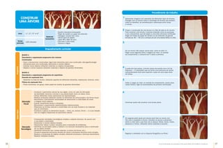 26 27
Guia de Atividades de Expressão e Educação Plástica © Santillana-Constância
Enquadramento curricular
Programa
Materiais
necessários
•	
Quadro interativo/computador
•	
Papel de cenário ou papel de embrulho
•	
Folhagem variada bem seca
•	
Vários tipos de papéis
•	
Lápis HB e lápis de cera
•	
Fita-cola e cola cristal
•	
Tesoura e régua
Anos 1.º, 2.º, 3.º e 4.º
Tempo
estimado
120 minutos
Saber
fazer
Educação
Visual
•	
Conhecer o património natural da sua região, como um valor de afirmação
da identidade nacional e encarar a sua preservação como um dever cívico.
•	
Utilizar diferentes meios expressivos de representação.
•	
Realizar produções plásticas usando os elementos da comunicação e da forma visual.
•	
Reconhecer a permanente necessidade de desenvolver a criatividade de modo
a integrar novos saberes.
•	
Ilustrar visualmente temas e situações.
•	
Reconhecer e experimentar representações bidimensionais.
•	
Relacionar as formas naturais e construídas com as suas funções e os materiais
que as constituem.
•	
Conhecer e aplicar os elementos visuais — linha, cor, textura, forma — e a sua relação
com as imagens disponíveis do património natural.
•	
Compreender atividades tecnológicas simples e saberes técnicos, de acordo com
a sua idade e maturidade.
•	
Desmontar e montar objetos simples.
•	
Desenvolver ideias e propor soluções para a resolução de problemas.
•	
Identificar as principais ações a realizar e os recursos necessários para a construção
de um objeto simples.
•	
Identificar estruturas nas «coisas naturais» (o tronco da árvore, etc.).
•	
Construir pequenas estruturas através de meios e processos técnicos muito simples.
•	
Realizar a construção de objetos simples utilizando processos e técnicas elementares.
•	
Realizar medições simples.
Educação
Tecnológica
Procedimento de trabalho
CONSTRUIR
UMA ÁRVORE
Apresentar imagens com exemplos de diferentes tipos de árvores.
Dialogar com os alunos sobre a variedade de árvores que existem,
sobre os detalhes, as semelhanças e diferenças entre umas
e outras.
A cada ano que passa, a árvore cresce de acordo com a lei da
Natureza — é necessário que se forme uma estrutura de ramos
suficientemente forte para suportar o peso de uma copa cheia
de folhas.
Propor a construção de uma árvore no chão da sala ou do recreio.
Para construir uma árvore, é preciso entender como se processa
o seu crescimento, que dá origem a uma bela estrutura ramificada.
Pegar em folhas de papel de cenário ou de embrulho de grande
formato (ex. 80 # 60 cm) e começar por pôr uma destas folhas no chão.
Voltar a rasgar ao meio, no sentido do comprimento, outras duas
meias folhas e ligar às extremidades da primeira ramificação.
De um tronco irão nascer outros dois, como na letra «Y».
Pegar numa segunda folha e rasgá-la ao meio, no sentido
do comprimento, e colocá-la em V sobre a primeira.
Continuar assim até construir uma árvore plana.
De seguida pedir ajuda aos alunos para fixar os ramos com
fita-cola e completar a árvore. Convidar os alunos a desenhar,
pintar e colar tudo o que lhes vier à cabeça: folhas, flores, frutos,
pássaros e ninhos, utilizando vários materiais à escolha.
Registar a atividade com a máquina fotográfica ou filmar.
1
4
2
5
3
6
7
8
Bloco 1
Descoberta e organização progressiva dos volumes
Construções
•	
Fazer e desmanchar construções; ligar/colar elementos para uma construção; atar/agrafar/pregar
elementos para uma construção; desmontar e montar objetos.
•	
Inventar novos objetos utilizando materiais ou objetos recuperados.
•	
Adaptar e recriar espaços utilizando materiais e objetos de grandes dimensões.
Bloco 2
Descoberta e organização progressiva de superfícies
Desenho de expressão livre
•	
Desenhar no chão do recreio, utilizando suportes de diferentes tamanhos, espessuras, texturas, cores.
Pintura de expressão livre
•	
Pintar livremente, em grupo, sobre papel de cenário de grandes dimensões.
 