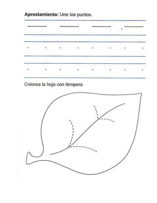 408170169 pasito-a-pasito-1-pdf