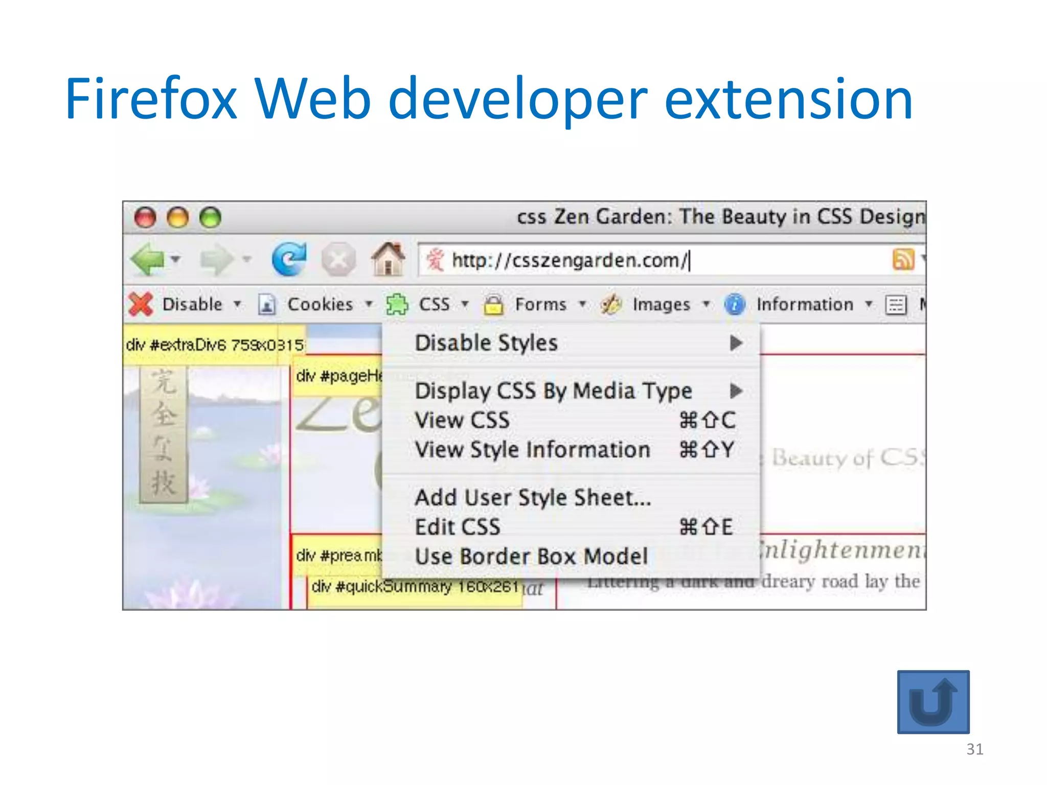 Firefox Web developer extension




                                  31
 