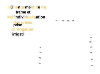 1-Changement de me
trame et
indi individualisation
des prises
prise
d 'irrigation
irrigati

P1

P2

P3

P4

P1
P2
P1

P3

P2

P4

P3

P1

P4
P2

 