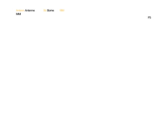 Antenn Antenne
MMI

Bo Borne

MM
P3

 