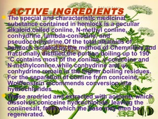 ACTIVE INGREDIENTS
The special and characteristic medicinal
substance contained in hemlock is a peculiar
alkaloid,called coniine, N-methyl coniine,
conhydrine, lambda-coniceine, and
pseudoconhydrine.Of the total alkaloids of
hemlock isolated by the method of Chemnitius and
fractionally distilled,the portion boiling up to 190
°C contains most of the coniine, γ-coniceine and
N-methylconiine,while conhydrine and ψ-
conhydrine remain in the higher boiling residues.
For the separation of coniine from coniceine,
Wolffenstein recommends conversion into
hydrochlorides.
These aredried and extracted with acetone, which
dissolves coniceine hydrochloride, leaving the
coniinesalt, from which the base may then be
regenerated.
 