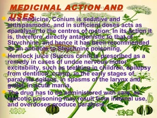 MEDICINAL ACTION AND
USESAs a medicine, Conium is sedative and
antispasmodic, and in sufficient doses acts as
aparalyser to the centres of motion. In its action it
is, therefore, directly antagonistic to that of
Strychnine, and hence it has been recommended
as an antidote to Strychnine poisoning,
Hemlock juice (Succus conii) is prescribed as a
remedy in cases of undue nervous motor
excitability, such as teething in children, epilepsy
from dentition. cramp, in the early stages of
paralysis agitans, in spasms of the larynx and
gullet, in acute mania,
The drug has to be administered with care, as
narcotic poisoning may result from internal use,
and overdoses produce paralysis.
 