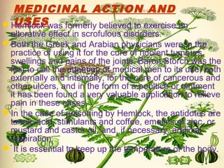 MEDICINAL ACTION AND
USESHemlock was formerly believed to exercise an
alterative effect in scrofulous disorders.
Both the Greek and Arabian physicians were in the
practice of using it for the cure of ndolent tumours,
swellings and pains of the joints, Baron Storch was the
first to call the attention of medical men to its use, both
externally and internally, for the cure of cancerous and
other ulcers, and in the form of a poultice or ointment
it has been found a very valuable application to relieve
pain in these cases.
In the case of poisoning by Hemlock, the antidotes are
tannic acid, stimulants and coffee, emetics of zinc, or
mustard and castor oil, and, if necessary, artificial
respiration.
 It is essential to keep up the temperature of the body.
 