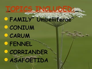 TOPICS INCLUDED:
FAMILY” Umbelliferae”
CONIUM
CARUM
FENNEL
CORRIANDER
ASAFOETIDA
 