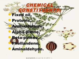 CHEMICAL
CONSTITUENTS:
Fixed oil,
Proteins,
Aminaldehyde,
Alpha-pinine,
Beta-pinene,
Phellandene,
Aminaldehyde.
 