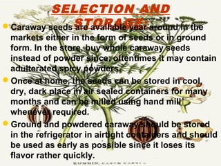 SELECTION AND
STORAGE:Caraway seeds are available year around in the
markets either in the form of seeds or in ground
form. In the store, buy whole caraway seeds
instead of powder since, oftentimes it may contain
adulterated spicy powders.
Once at home, the seeds can be stored in cool,
dry, dark place in air sealed containers for many
months and can be milled using hand mill
whenever required.
Ground and powdered caraway should be stored
in the refrigerator in airtight containers and should
be used as early as possible since it loses its
flavor rather quickly.
 