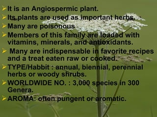 It is an Angiospermic plant.
Its plants are used as important herbs.
Many are poisonous
Members of this family are loaded with
vitamins, minerals, and antioxidants.
 Many are indispensable in favorite recipes
and a treat eaten raw or cooked.
TYPE/Habbit : annual, biennial, perennial
herbs or woody shrubs.
WORLDWIDE NO. : 3,000 species in 300
Genera.
AROMA: often pungent or aromatic.
 