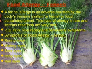 Food Allergy -- Fennel:
A fennel allergy is an adverse reaction by the
body's immune system to fennel or food
containing fennel. This type of allergy is rare and
serious reactions are very rare.
 e.g. skin, respiratory and behavioral symptoms.
Symptoms of Food Allergy -- fennel:Symptoms of Food Allergy -- fennel:
Runny nose
Watery eyes
Sore eyes
Itchy eyes
Red eyes
 