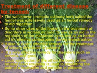 Treatment of different disease
by fennel:
 The well known aromatic culinary herb called the
fennel was extensively used as an herbal remedy
to aid digestion
 Some other uses of the fennel in the treatment of
disorders in women include its use as an aid in the
regulation of the menstrual cycle and as an herbal
aid in relieving period pains during menstruation
 it also is a very effective remedy for the treatment
of urinary infections in patients
 it a very effective remedy for disorders such as
arthritis and gout,
 Local application of the oil on the body or the
bruised seed exudates is used in alleviating the
pain of a toothache and earache in patients
 