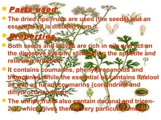 Parts used
The dried ripe fruits are used (the seeds) and an
essential oil is distilled from it.
Properties
Both seeds and leaves are rich in oils and act on
the digestive system, stimulating the appetite and
relieving irritation.
It contains coumarins, phenylpropanoids and
triterpenes, while the essential oil contains linalool
as well as furanocoumarins (coriandrine and
dihydrocoriandrine).
The unripe fruits also contain decanal and tricen-
2-al, which gives them a very particular smell.
 