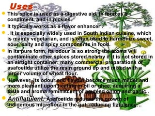 Uses
This spice is used as a digestive aid, in food as a
condiment, and in pickles.
It typically works as a flavor enhancer .
. It is especially widely used in South Indian cuisine, which
is mainly vegetarian, and is often used to harmonize sweet,
sour, salty and spicy components in food.
In its pure form, its odour is so strong the aroma will
contaminate other spices stored nearby if it is not stored in
an airtight container: many commercial preparations of
asafoetida utilize the resin ground up and mixed with a
larger volume of wheat flour.
 However, its odour and flavour become much milder and
more pleasant upon heating in oil or ghee, acquiring a
taste and aroma reminiscent of sautéed onion and garlic..
Antiflatulent: Asafoetida reduces the growth of
indigenous microflora in the gut, reducing flatulence…
 