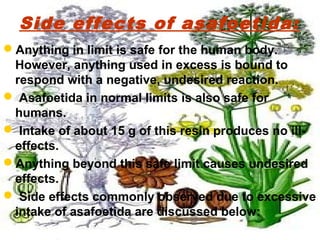 Side effects of asafoetida:
Anything in limit is safe for the human body.
However, anything used in excess is bound to
respond with a negative, undesired reaction.
 Asafoetida in normal limits is also safe for
humans.
 Intake of about 15 g of this resin produces no ill-
effects.
Anything beyond this safe limit causes undesired
effects.
 Side effects commonly observed due to excessive
intake of asafoetida are discussed below:
 