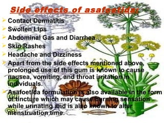 Side effects of asafoetida:
 Contact Dermatitis
 Swollen Lips
 Abdominal Gas and Diarrhea
 Skin Rashes
 Headache and Dizziness
 Apart from the side effects mentioned above,
prolonged use of this gum is known to cause
nausea, vomiting, and throat irritation in
individuals.
 Asafoetida formulation is also available in the form
of tincture which may cause burning sensation
while urinating and is also known to alter
menstruation time.
 