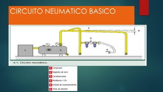 CIRCUITO NEUMATICO BASICO
 