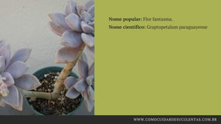 Nome popular: Flor fantasma.
Nome científico: Graptopetalum paraguayense
WWW.COMOCUIDARDESUCULENTAS.COM.BR
 