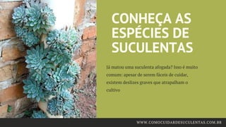 CONHEÇA AS
ESPÉCIES DE
SUCULENTAS
Já matou uma suculenta afogada? Isso é muito
comum: apesar de serem fáceis de cuidar,
existem deslizes graves que atrapalham o
cultivo
WWW.COMOCUIDARDESUCULENTAS.COM.BR
 