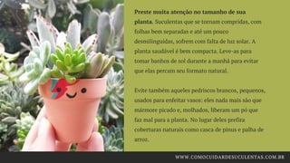 Preste muita atenção no tamanho de sua
planta. Suculentas que se tornam compridas, com
folhas bem separadas e até um pouco
desmilinguidas, sofrem com falta de luz solar. A
planta saudável é bem compacta. Leve-as para
tomar banhos de sol durante a manhã para evitar
que elas percam seu formato natural.
Evite também aqueles pedriscos brancos, pequenos,
usados para enfeitar vasos: eles nada mais são que
mármore picado e, molhados, liberam um pó que
faz mal para a planta. No lugar deles prefira
coberturas naturais como casca de pinus e palha de
arroz.
WWW.COMOCUIDARDESUCULENTAS.COM.BR
 