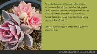 As suculentas deram certo, você gostou muito e
agora quer replantar? Fazer a muda é fácil: corte o
caule da suculenta e deixe-o secar por dois dias – se
ele for replantado imediatamente, encherá de
fungos. Depois é só coloca-lo novamente na terra e
esperar a planta “pegar”!
Conheça algumas espécies de suculentas que ficam
lindas em casa:
WWW.COMOCUIDARDESUCULENTAS.COM.BR
 
