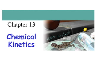 Chapter 13 Chemical Kinetics 