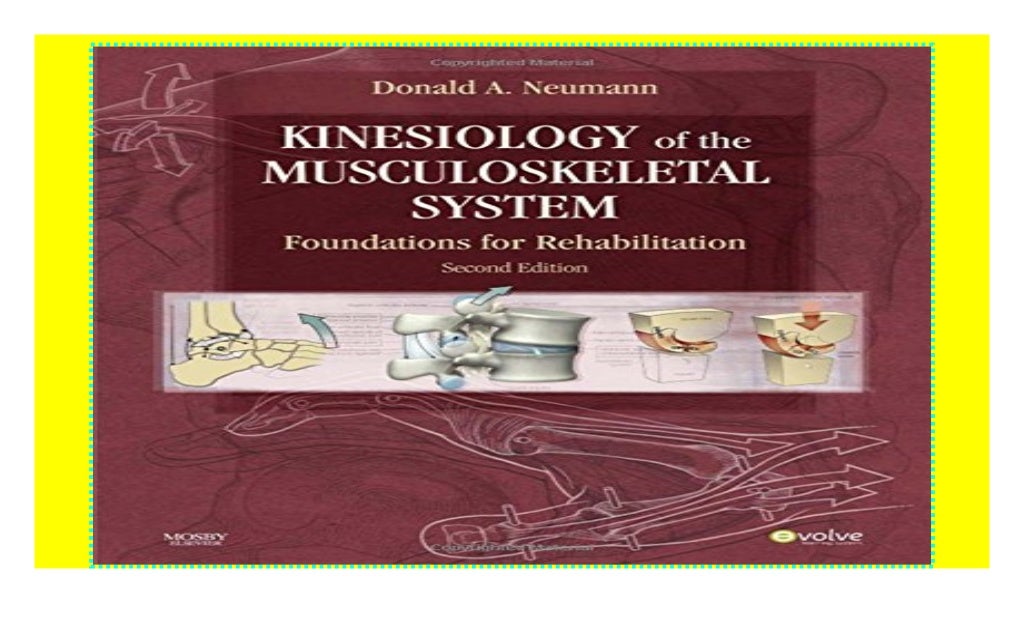 Kinesiology of the Musculoskeletal System: Foundations for Rehabilit…