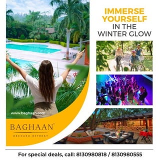 Immerse yourself in the winter glow at Baghaan!