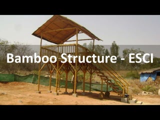 Bamboo Structure - ESCI
 