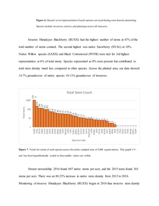 Figure 6. Ground cover representation of each species surveyed during stem density monitoring.
Species include invasives,natives,and plantings across all transects.
Invasive Himalayan Blackberry (RUXX) had the highest number of stems at 47% of the
total number of stems counted. The second highest was native Snowberry (SYAL) at 10%.
Native Willow species (SAXX) and Black Cottonwood (POTR) were tied for 3rd highest
representation at 6% of total stems. Species represented as 0% were present but contributed to
total stem density much less compared to other species. Across the planted area, our data showed
14.7% groundcover of native species 10.13% groundcover of invasives.
Figure 7: Totals for stems of each species across the entire sampled area of 3,888 square meters. This graph’s Y-
axis has been logarithmically scaled so that smaller values are visible.
Stream stewardship 2016 found 687 native stems per acre, and the 2015 team found 365
stems per acre. There was an 88.23% increase in native stem density from 2015 to 2016.
Monitoring of invasive Himalayan Blackberry (RUXX) began in 2016 thus invasive stem density
 