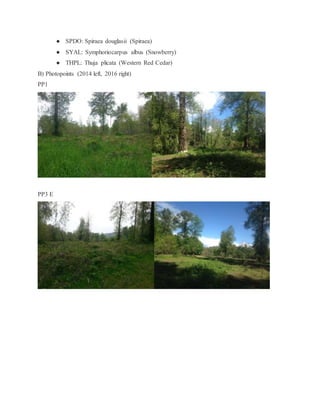 ● SPDO: Spiraea douglasii (Spiraea)
● SYAL: Symphoriocarpus albus (Snowberry)
● THPL: Thuja plicata (Western Red Cedar)
B) Photopoints (2014 left, 2016 right)
PP1
PP3 E
 
