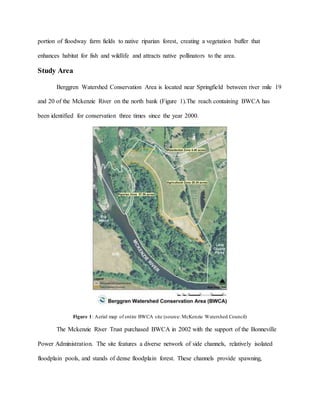portion of floodway farm fields to native riparian forest, creating a vegetation buffer that
enhances habitat for fish and wildlife and attracts native pollinators to the area.
Study Area
Berggren Watershed Conservation Area is located near Springfield between river mile 19
and 20 of the Mckenzie River on the north bank (Figure 1).The reach containing BWCA has
been identified for conservation three times since the year 2000.
Figure 1: Aerial map of entire BWCA site (source: McKenzie Watershed Council)
The Mckenzie River Trust purchased BWCA in 2002 with the support of the Bonneville
Power Administration. The site features a diverse network of side channels, relatively isolated
floodplain pools, and stands of dense floodplain forest. These channels provide spawning,
 
