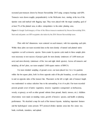 recreated past transects drawn by Stream Stewardship 2015 using compass bearings and GPS.
Transects were drawn roughly perpendicularly to the McKenzie river, starting at the toe of the
riparian zone and marked with flagging tape. They were placed with the target sampling goal of
at least 5% of the planted area, to allow extrapolation to the entire planting area.
Figure 1: Google Earth imagery of four of the fifteen transects monitored by Stream Stewardship 2016.
Start and end points are GPS waypoints also taken by the 2016 Stream Stewardship team.
Plots with 6m2 dimensions were centered on each transect, with 6m separating each plot.
Within these plots our team recorded data on the stem density of natural and planted native
vegetation as well as invasive species. Stem counts by species code made in these sample plots
were necessary to test success of project goals for stem density (minimum of 1,600 stems per
acre) and stem diversity (minimum of five tree and eight shrub species). Across all transects and
including all 6m2 plots, our team sampled 3,888 square meters of BWCA.
For more detailed sampling of ground cover, our team placed two 1m x 1m quadrats
within the 6m square plots, both 1m from opposite ends of the plot boundary, as well as adjacent
to and on opposite sides of the transect line. Placement on the left or right side of transect length
was randomized to reduce selection bias to the surrounding 6 m x 6 m plot. Our team recorded
percent ground cover of native vegetation, invasive vegetation (categorized as herbaceous,
woody, or grassy), as well as other ground subrate (bare ground, thatch, mosses, etc.). Addition
observations were made on standing water, growth of invasive species, and health or planting
performance. We sketched a map for each of the transect layouts, including important features
and the hydrological zones present. TFT protocol divides riparian areas into five zones: toe,
bank, overbank, transition, and upland.
 