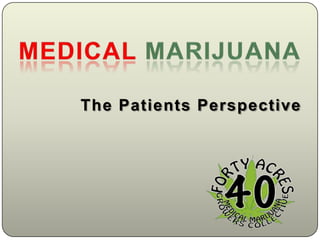 Medical Marijuana The Patients Perspective 