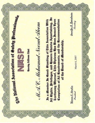 NASP Dip. in Safety
