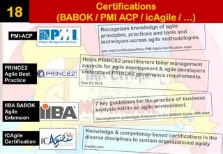 18 
PMI-ACP 
IIBA BABOK Agile Extension 
PRINCE2 Agile Best Practice 
ICAgile 
Certification 
Certifications 
(BABOK / PMI ACP / icAgile/ …)  