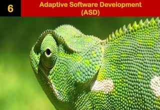 Adaptive Software Development (ASD) 
6  